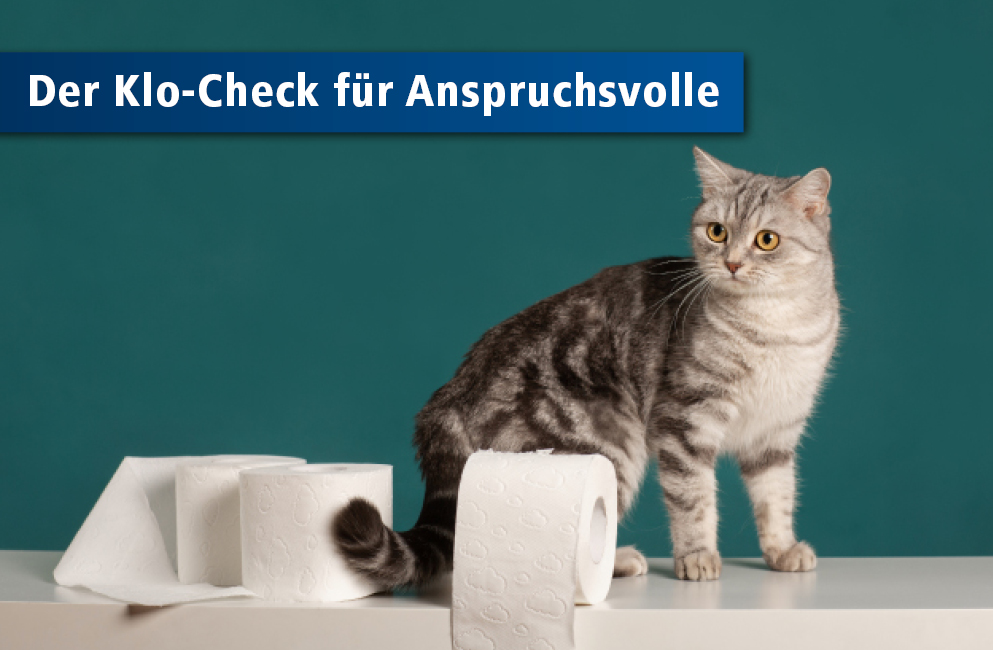 Katze mit Klorollen neben sich